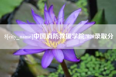 韩城中国消防救援学院2020录取分