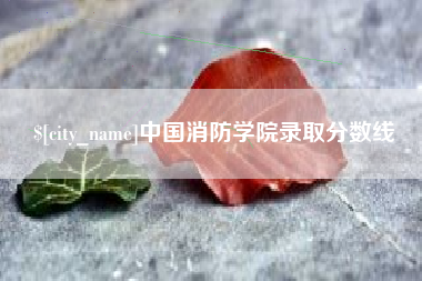 韩城中国消防学院录取分数线