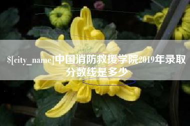 韩城中国消防救援学院2019年录取分数线是多少
