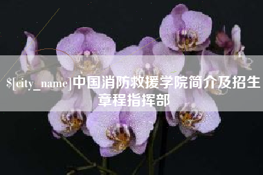 韩城中国消防救援学院简介及招生章程指挥部