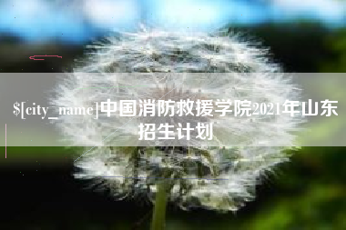 韩城中国消防救援学院2021年山东招生计划