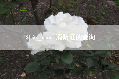 韩城消防证的查询