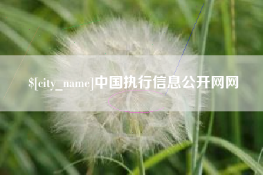 韩城中国执行信息公开网网
