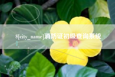 韩城消防证初级查询系统