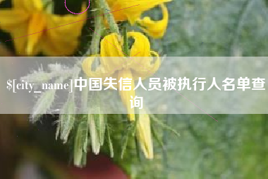 韩城中国失信人员被执行人名单查询