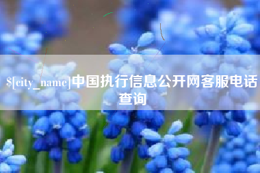 韩城中国执行信息公开网客服电话查询