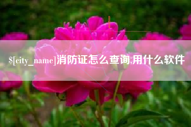 韩城消防证怎么查询,用什么软件