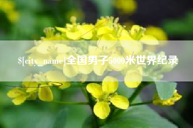 韩城全国男子5000米世界纪录