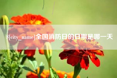 韩城全国消防日的日期是哪一天