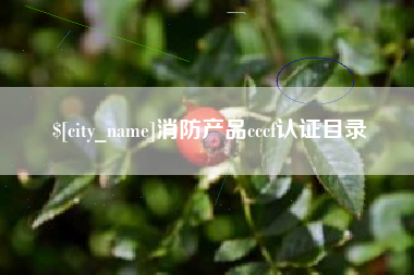 韩城消防产品cccf认证目录