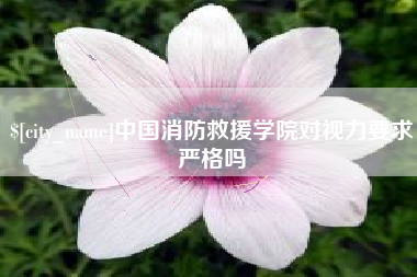 韩城中国消防救援学院对视力要求严格吗