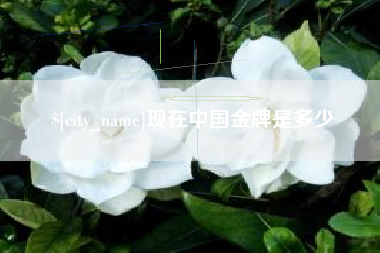 韩城现在中国金牌是多少