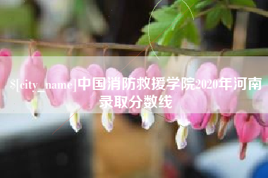 韩城中国消防救援学院2020年河南录取分数线