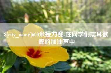 韩城600米接力赛-在同学们震耳欲聋的加油声中
