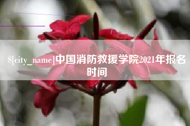 韩城中国消防救援学院2021年报名时间