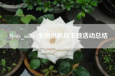 韩城全国消防日主题活动总结