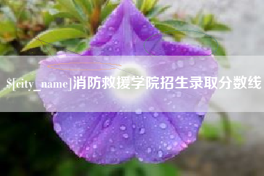 韩城消防救援学院招生录取分数线