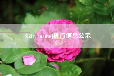 韩城执行信息公示