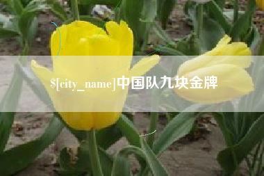 韩城中国队九块金牌
