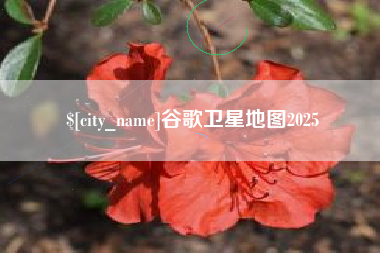 韩城谷歌卫星地图2025