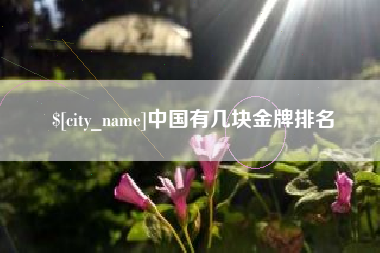 韩城中国有几块金牌排名