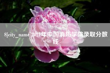 韩城2021年中国消防学院录取分数线