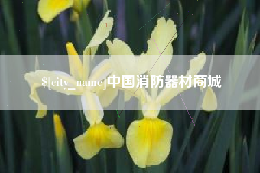 韩城中国消防器材商城