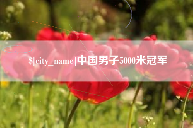 韩城中国男子5000米冠军