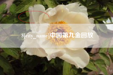 韩城中国第九金回放