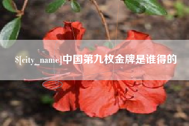 韩城中国第九枚金牌是谁得的