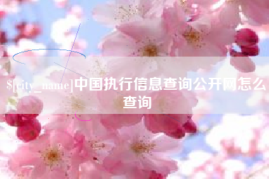 韩城中国执行信息查询公开网怎么查询