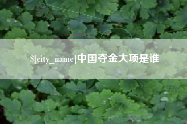 韩城中国夺金大项是谁