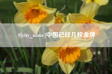 韩城中国已经几枚金牌