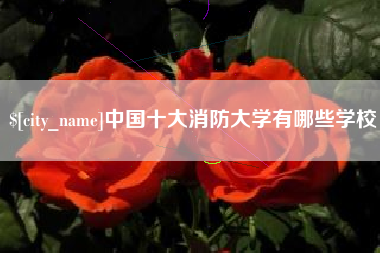 韩城中国十大消防大学有哪些学校