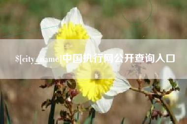 韩城中国执行网公开查询入口