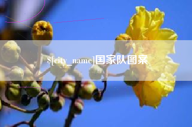 韩城国家队图案