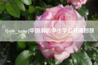 韩城中国消防中小学公开课回放