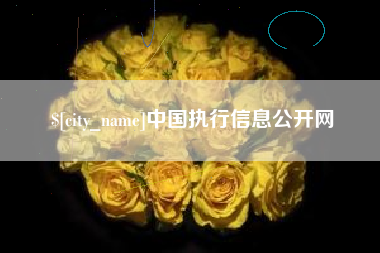 韩城中国执行信息公开网