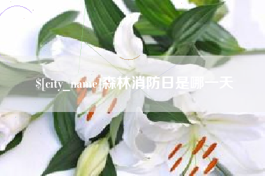 韩城森林消防日是哪一天