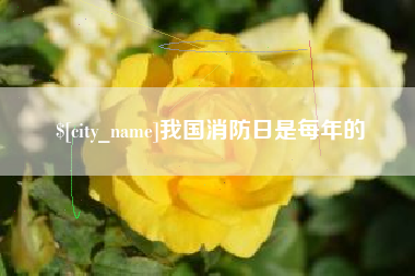 韩城我国消防日是每年的