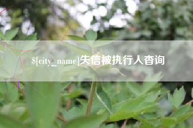韩城失信被执行人杳询