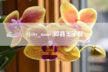 韩城邱县王子磊