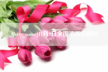 韩城11月9日全国消防日图片