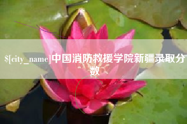 韩城中国消防救援学院新疆录取分数