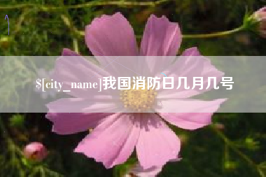 韩城我国消防日几月几号