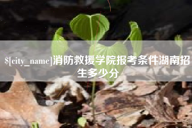 韩城消防救援学院报考条件湖南招生多少分