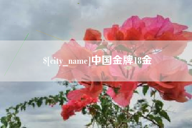 韩城中国金牌18金