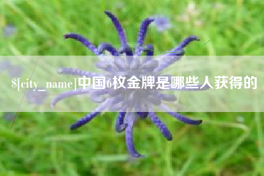 韩城中国6枚金牌是哪些人获得的