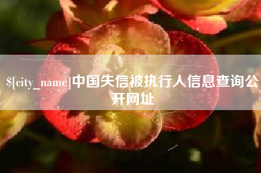 韩城中国失信被执行人信息查询公开网址