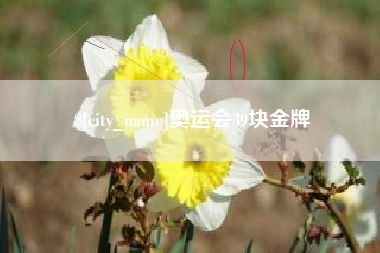 韩城奥运会39块金牌